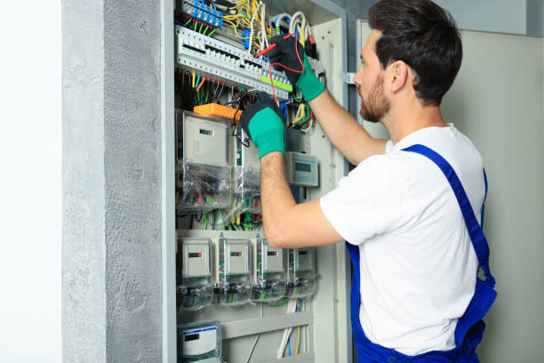 Best Electric Panel Repair  in Zellwood, FL